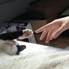 вино мисс Холмс