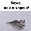 Bo0bbaFeet