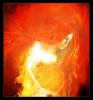 Yavanna0708