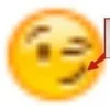Sasylap