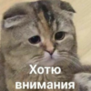Zhyppernovell