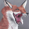 - DEADFOX -