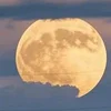 _Shining_Moon_
