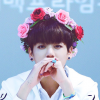 Kookie_Kook