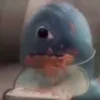 RyokuM