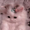 princess_stina