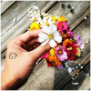Black Daisy