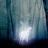 Maggie_Swan