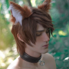 DavDrakon