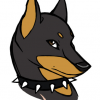 A. Doberman