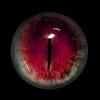 Horror_Quiet