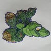 Meranda