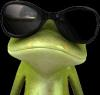 Frog_