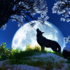 Pretty Witty Wolf