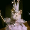 Rat007