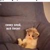 Mary Evans_13