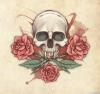 CrimsonRose