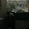 Mutt_Call