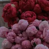 Cherry_777