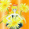 meDaisy