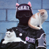 Mr.SadCat