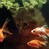 плевок228