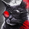 IamBLACKCAT