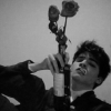 Prince of roses