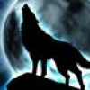 Саша Wolf