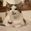 holy_milk