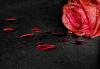 Anhel von Blut