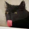 depechemode97