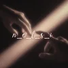 n_e_l_s_i