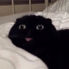 Лeнок