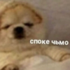 Фильтр