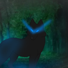 Luna_340
