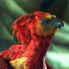 Fawkes_S_115