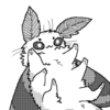 Amebcat