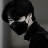 Ash animarum