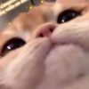 Люсиция