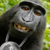 MS.Kozzel