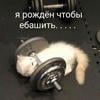 Пенелопа Лавгуд