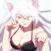 neko monogatari