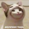 Пассивно-агрессивная сущность