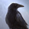 Raven-from-Azure