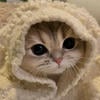 крекерр