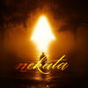 nekuta