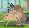 bambi18
