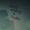 Alex_ML
