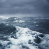 Ocean_Freedom